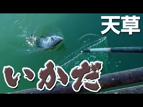 釣り熊本 つりくまもと Fishing In Kumamoto の最新動画 Youtubeランキング