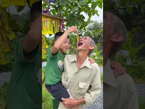 Em bé hái kẹo cầu vồng cho ông nội tộinghiệp ăn #shorts #baby#cute