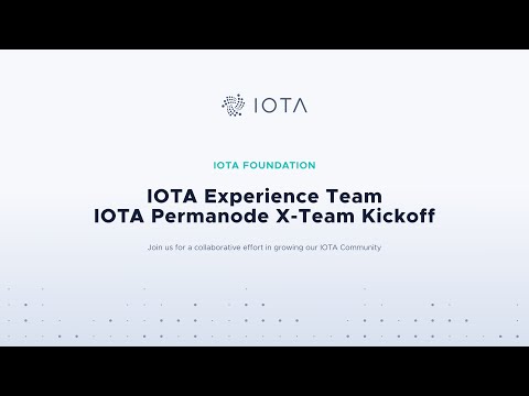 2020-06-16 IOTA Experience Team Permanode Kickoff