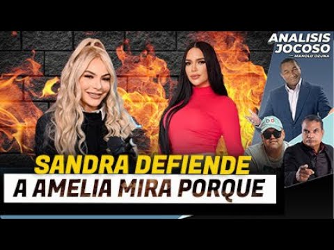 ANALISIS JOCOSO - SANDRA DEFIENDE A AMELIA MIRA PORQUE