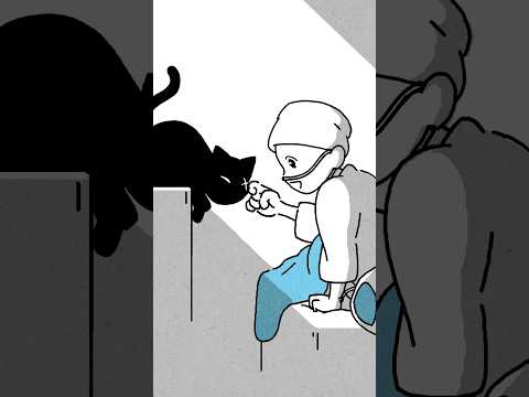 love wins all🐱(1)