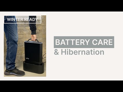 Winter Ready: Battery Care & Hibernation