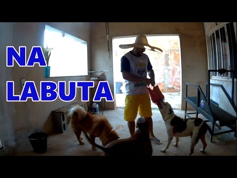 NA LABUTA