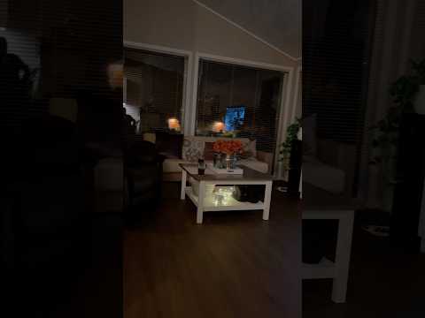 Living room & kitchen renovation | Update 3 🏚️👷