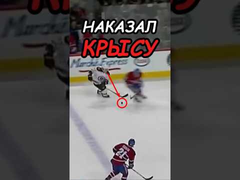 Переходи в ТГ: Чиба Эксклюзив ссылка в описании профиля #хоккей #нхл
