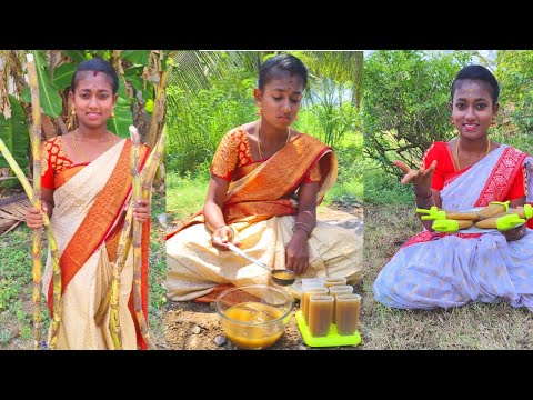 Healthy Sugarcane Juice Sugarcan Ice cream Making Full video #villagemonichannel