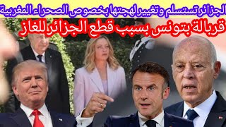 تبون يغير لهجته و ماكرون يعترف بدولة فلسطين وتونس مقربلة بسبب العسكر الجزا ئري#المغرب #الجزائر