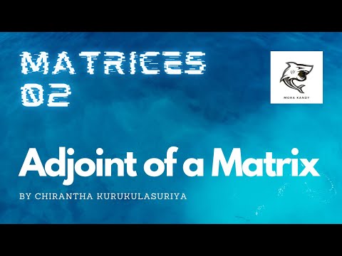 Matrices | part 02 (Adjoint of a matrix)