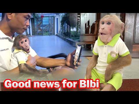 Bibi is extremely happy and excited when he hears the news that can go to Uncle Phong's house!