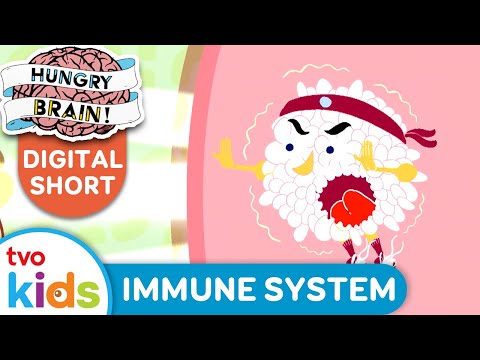 HUNGRY BRAIN 🧠 4 Facts About THE IMMUNE SYSTEM 🦠 TVOkids!