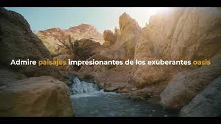 Expériences Authentiques en Tunsisie