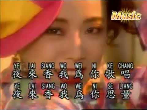 夜來香 KTV 伴奏 no vocal 無人聲 music 純音樂 karaoke 卡拉OK 伴唱 カラオケ instrumental 夜來香