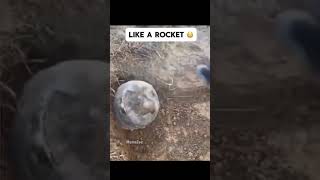 like a rocket🚀