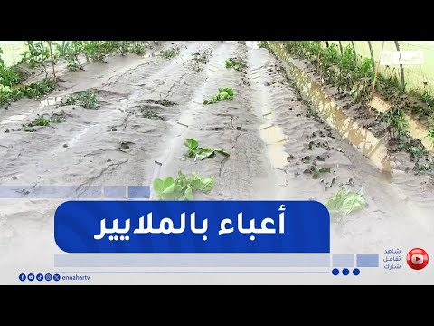 فلاحة: صناديق التأمين..أداء مفلس !