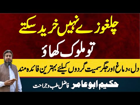 Chalgoze ni kha skte to Malook khaye || Hakeem Abu Amir || Hakeem Abu Amir New Video