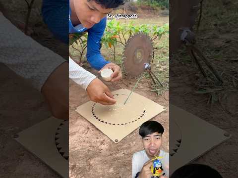 I don't think it will be a bird trap like this‼️Menurutku ngga bakal kena jebakan burung gini amat‼️
