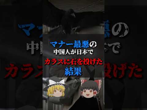 【ゆっくり解説】マナー最悪の中国人が日本でカラスに石を投げた結果 #都市伝説 #ゆっくり解説