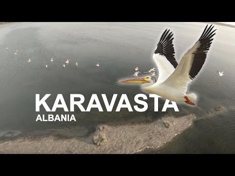 Karavasta, Albania | Home of Dalmatian Pelican