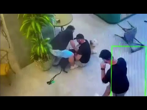 Dog attack inside Miami coffee shop caught on camera