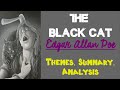 Themes and Symbols in 'The Black Cat'