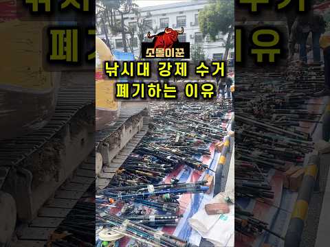낚시대 강제수거 폐기하는 이유