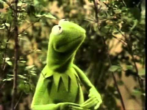 Bein Green de The Muppets Letra y Video