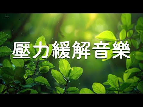 100%無廣告:   安神音樂，常聽放鬆心情，擺脫焦慮狀態，每天好心情 - 停止思考，早晨正能量音樂，壓力緩解音樂，睡眠音樂，輕音樂，舒緩音樂，療癒心靈音樂