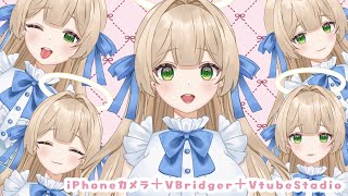 【汎用モデル】青リボンの天使ちゃん【VBridger対応/色変え可能】#live2d #live2dshowcase #模型展示