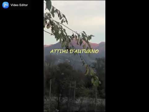 Mauro Bertoli - scrittore