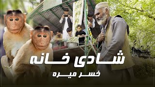 شادی خانه خسر میره - دره پغمان روز جمعه