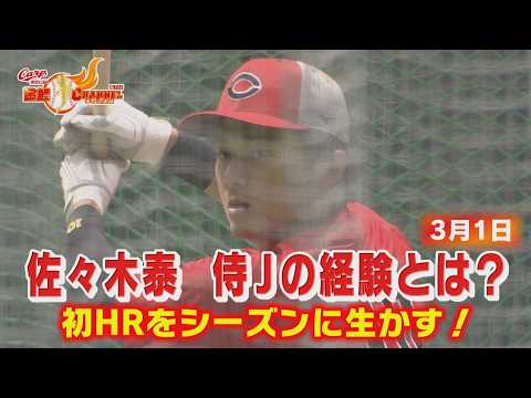 佐々木泰　裏話も！侍ジャパンから経験得て復帰！