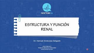 ESTRUCTURA Y FUNCIÓN RENAL || Ciencias básicas