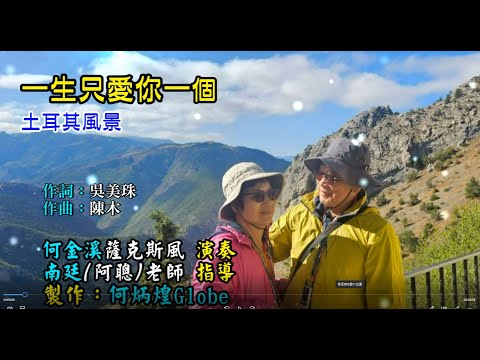 一生只愛你一個~附KTV歌詞~何金溪薩克斯風演奏