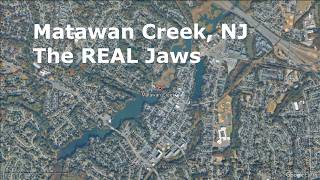 Matawan River Attacks Revisited - Jaws