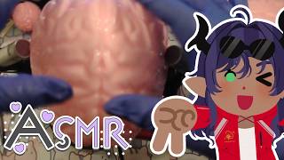 【ASMR】Big Sis Gives You a Sketchy Brain Massage! ASMR Handcam!【Promisu