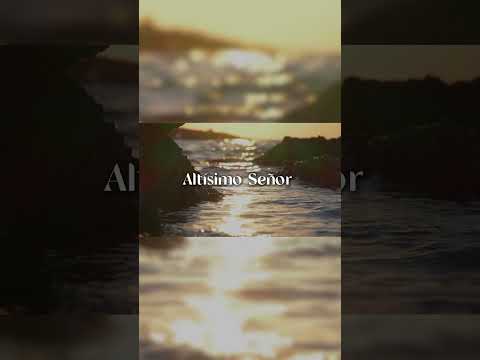 Digno es el Señor - Marcela
#Alabanza #Digno #viral #Cover