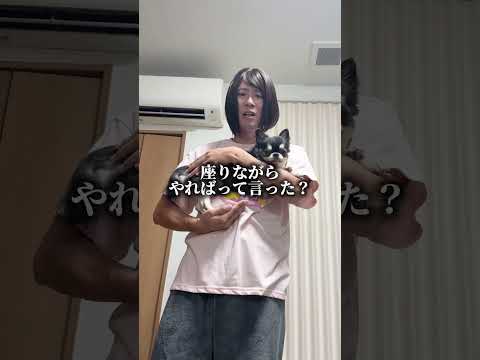 笑顔溢れる！かわいいチワワと登場する鬼嫁の物語 サムネイル