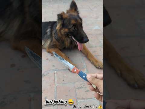 Jenny Ka Kan Kaat diya 😡😂#viral #minivlog #shorts #funnyshorts