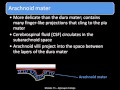 Central Nervous System Protection Concepts