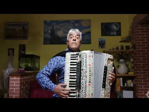 sergio e la sua fisarmonica nel cuore