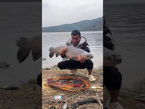 This man caught the biggest fish today #shortsvideo