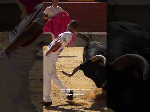 ENGAÑA A UN TORO GIGANTE  #bull #toros #tricks