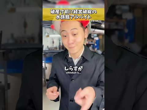 赤字水族館とベランダの鳥の仁義なき戦い【懐かしの過去動画2本立て】 #クスッと動画 #shorts
