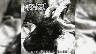 Immaculated Conception (Che) - Tremendous Haze (Single 2025)