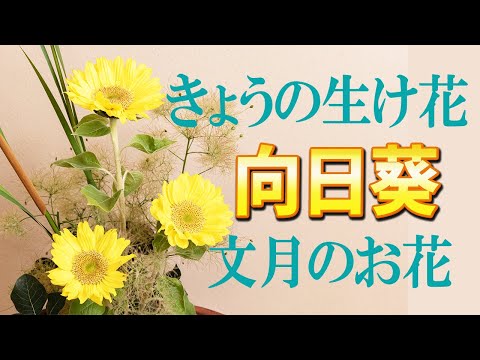 【きょうの生け花】向日葵の上手な生け方