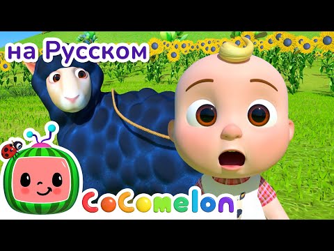 Разноцветная овечка - Новая Серия💫 | CoComelon на русском — Детские песенки