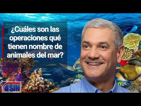 ¿Cuáles son las operaciones qué tienen nombre de animales del mar?