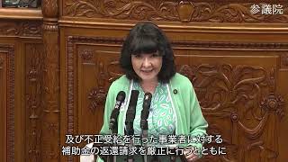 参議院 本会議（2025年6月11日）