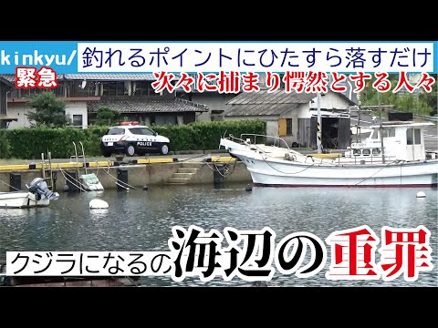 漁港で高級魚を乱獲！堤防からクジラに匹敵する大型魚が釣れ驚きを隠せない