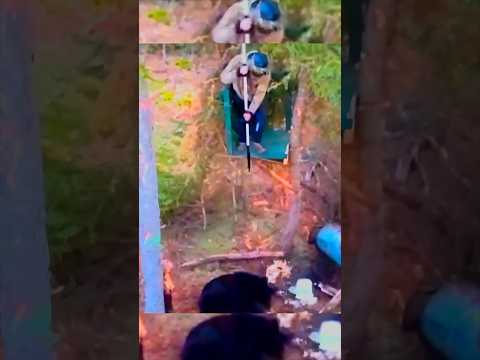 โBear Hunting Arrow Shot from Treeโ??๐ป #bearcall #hunting #hunthowdown